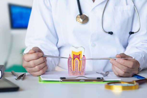 Best Emergency Root Canal Treatment in Princeton, NJ